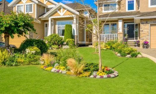 green house landscaping