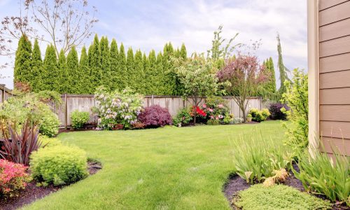 landscaping